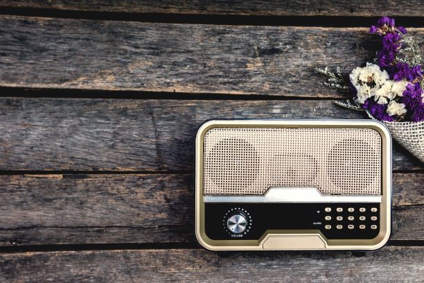 old retro radio paired with dried purple flowers on old wood