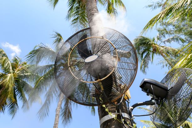 misting-fan-spraying-steam-coconut-tree