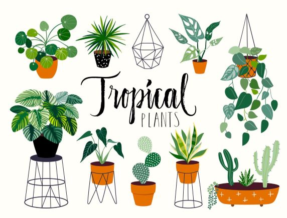 tropical-house-plants-collection-with-different-elements-isolatedand-hand-lettering