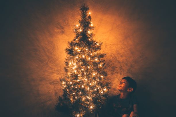 Boy Beside Christmas Tree Illustration