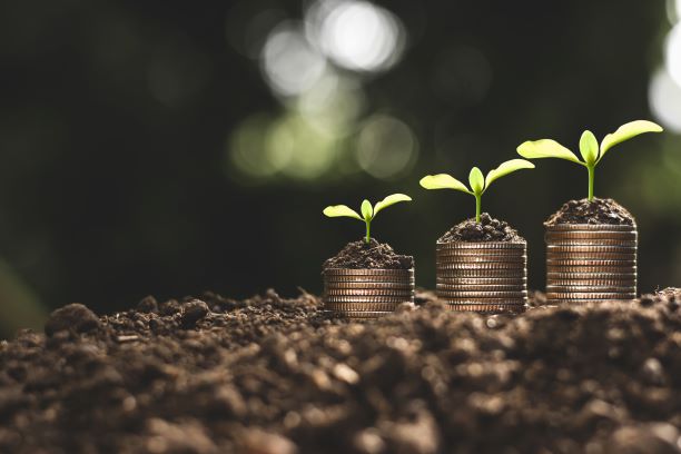 financial-growth-coins-seedling