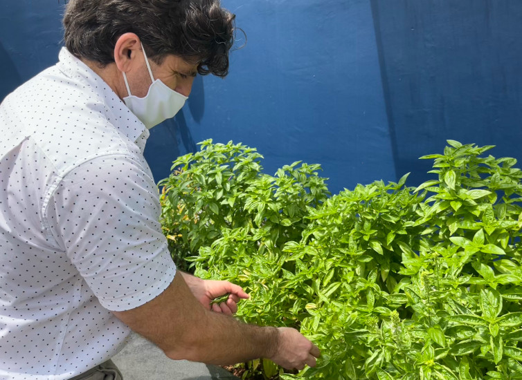 StorHub Reaps A Fine Harvest From Our Green Garden