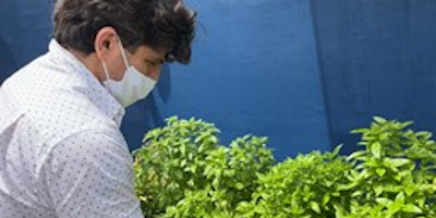 StorHub Reaps A Fine Harvest From Our Green Garden