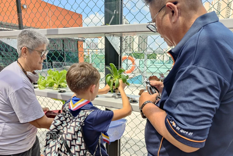 ANZA Scout handling aquaponic vegetables at StorHub Self Storage
