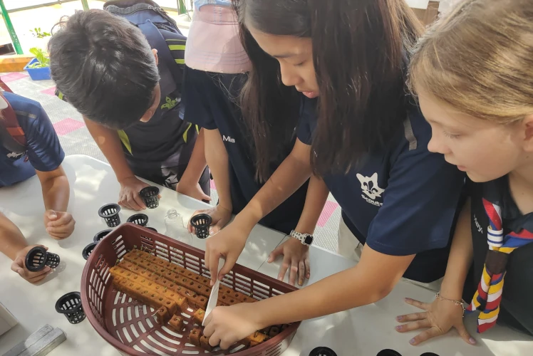 ANZA Scout placing seeds into foam holders at StorHub Self Storage aquaponics garden