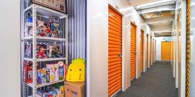 A Collectors' Storage Guide to Safeguarding Your Treasures