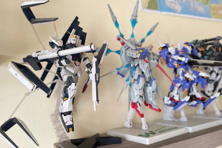self storage in singapore for hobbyist collector