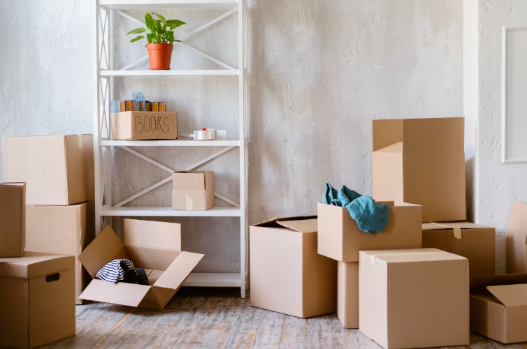 DIY Storage Solutions vs Renting Storage Space in Singapore